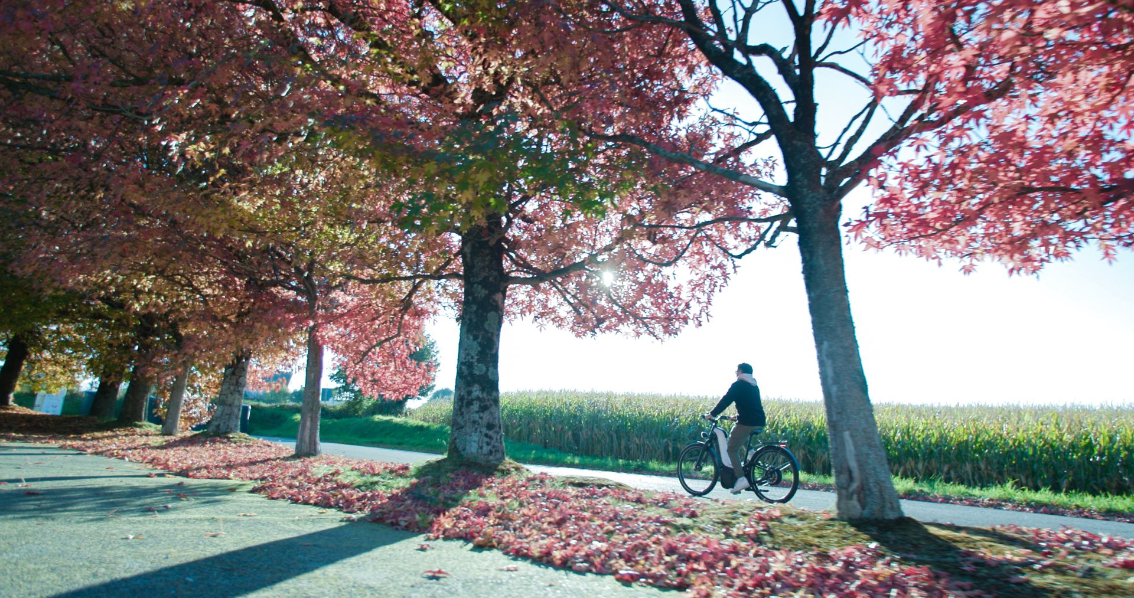 Mobilité douce à hydrogène Utilisateur circulant à vélo hydrogène sur une route bordée d’arbres